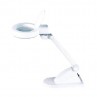 Magnifying lamp